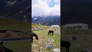 Towards Deosai #nature #mountains #travel #gilgitbaltistan #snow #pakistan #india #tourism #tourist