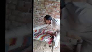 kaka - bhatija comedy #comedy #viral #rajasthani