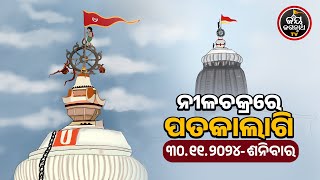 JAGANNATH TEMPLE DIVINE FLAG CHANGE 30-NOV-2024 | ନୀଳଚକ୍ରରେ ହଳଦିଆ ରଙ୍ଗର ପତାକାଲାଗି | JAY JAGANNATH TV