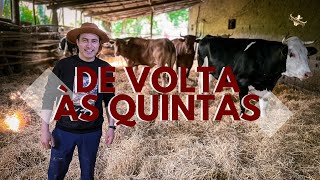 De Volta às Quintas: Onde Portugal Nasceu