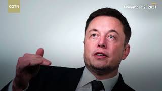 Elon Musk triggers debate by posting ancient Chinese poem