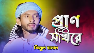 প্রাণ সখিরে দুঃখ বলবার মানুষ কোথায় পাই | শিমুল হাসান