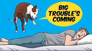 If Your Pet Does This, Big Trouble's Coming