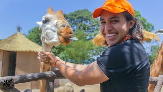 ZOOLÓGICO GUATEMALA - La Aurora Guatemala ft. Dulce Gocaz