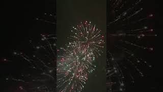 Новогодний салют New Year's fireworks Shorts