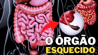 O ÓRGÃO INÚTIL DO CORPO que SURPREENDEU os CIENTISTAS