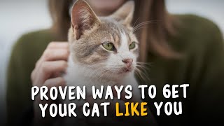 10 Scientific Ways to Get a Cat Like you