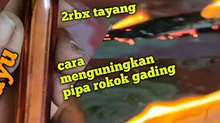 cara cepat menguningkan pipa rokok gading