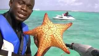 must do in Great Stirrup Cay, Bahamas jet ski/waverunner star fish tour