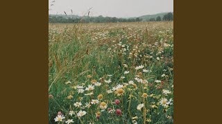 field of memories