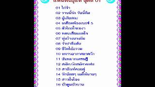 สายัณห์ สัญญา ชุด แฟนพันธุ์แท้ ชุดที่ 01