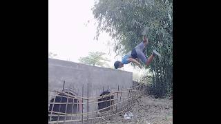 progression flip the villager boy.#progress #flip #sorts #trending  #stunt #thevillagerboy