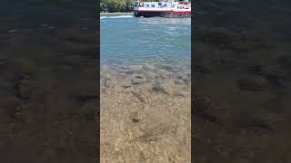 Das #schiff gas 86 auf Bergfahrt mit Wasser Fontänen Teil 4 #rhein #shorts #short