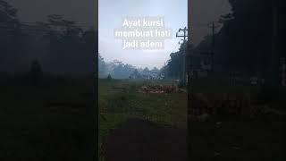 ayat kursi membuat hati jadi adem#ceramah1menitmenyentuhhati #quotes #viralshort #fypシ゚viral