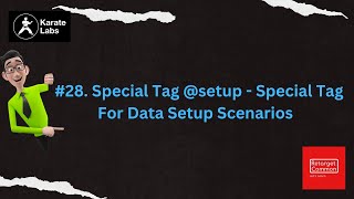 #28. Special Tag @setup - A Special Tag For Data Setup Scenarios #karateframework