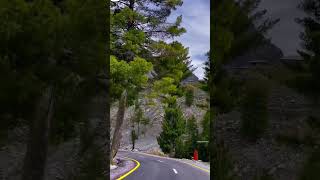 nature short video❤️😍#shorts #shortsvideo #youtubeshorts #trendingshorts #viral #ayaankatal #nature