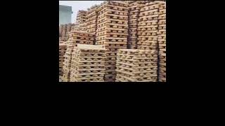 cricket bats factory #cricketbat