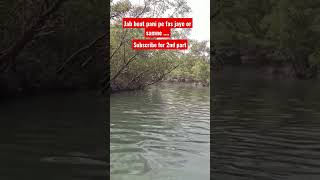 GIANT CROCODILE 🐊 Caught on cam #shorts #shots #viral