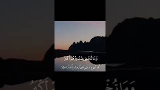 قرآنی مجید ترجمه فارسی