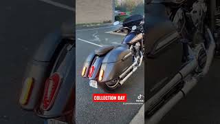 Indian Scout collection day