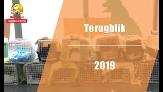 Terugblik 2019