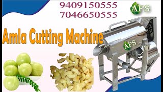 Amla Cutting Machine at Best Price in India