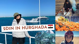 HURGHADA, EGYPT 🇪🇬 TRAVELOG  — Red Sea Diving, Bedouin Camp Experience, El Dahar Market!