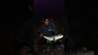 Landed Big Eye Trevally || Land Base Jigging Malam Micro Jig 15 gram #fishing #ultralight #shorts