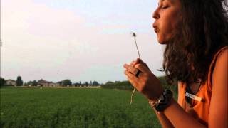 Fluff and a Girl (stop motion)