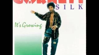 Garnet Silk  - It's Growing (21st  Anniversary Tribute)