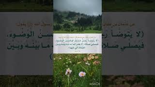 من أقوال الرسول صلى الله عليه وسلم ‏⁧‫#السنة_النبوية #رواه_مسلم #أخرجه_مسلم  ‬⁩ً