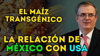 El maíz transgénico y como nos ve USA a los mexicanos.