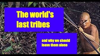 Alone & not afraid: The world's uncontacted tribes