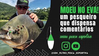 Moeu no EVA! Um pesqueiro que dispensa comentários- SASSE PESCA ESPORTIVA