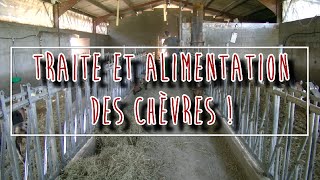 TRAITE ET ALIMENTATION DES CHÈVRES [Time-Laps]