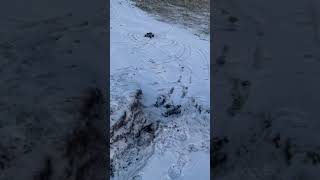 Rc car driving in snow #shorts #traxxas #rccar #trx4 #fordbronco