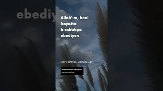 Hadis Tirmizi, Daavat 114 Allah'ım beni hayatta bıraktıkça ebediyen günahları... #shorts #hadis