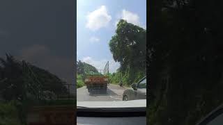 Dangerous Overtake near divider !! #rashdriving #driving #marutiswift #shorts #ytshorts