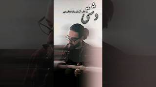 دشتی سه تار : آرمان باباخداوردی #music #موسیقی #سه_تار_نوازی #shorts