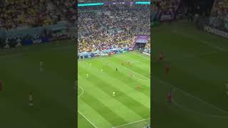 What A Goal Richarlison #short #brazil #richarlison #soccer #brazilfans #fifaworldcup #qatar2022