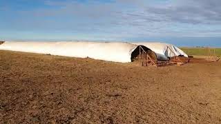 Ataques a silo bolsas en Argentina