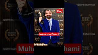 Mohammaad Shami - Best ODI Bowler 2023 🏏❤  #shami #cricket #2023 #shortsfeed