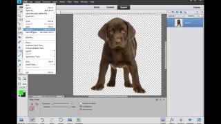 PhotoShop Project 4   Puppy PNG   Instructions