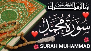 💞 Surah Muhammad Full 💞 सूरह मोहम्मद 💞 Quran Chapter 47 💞 Surah Muhammad ki Tilawat 💞 Muhammad