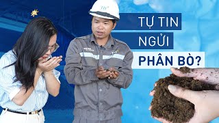 Tự tin ngửi phân bò - có tin được hay không?