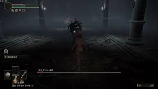 Elden Ring - Black Knife Assassin in the Deathtouched Catacombs (Parry Only)