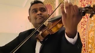 Violinist in Delhi | western violin player in Delhi | Taj Mahal hotel Delhi #violinist #yt #youtube