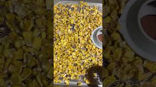 Dehydrating Corn from Frozen #dehydratingfood