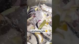 Ginataang Isda/Tulingan/Yellowpin/#simplengbuhay #lutongbahay #provincelife #fyptiktok #foryoupage