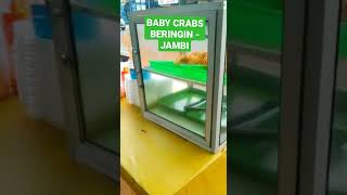 BABY CRABS BERINGIN - JAMBI #food #kuliner